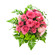 pink roses with chrysanthemums. Omsk